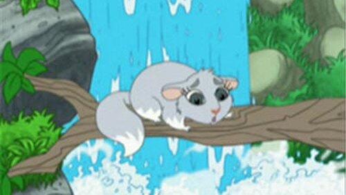 Chinta the Baby Chinchilla Chinta the Baby Chinchilla