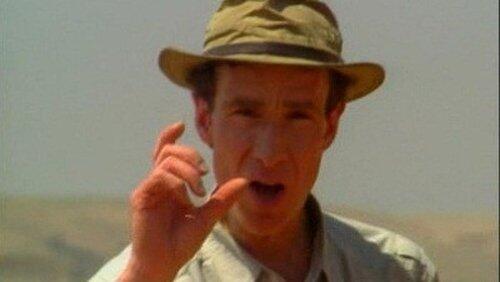 Archaeology Archaeology