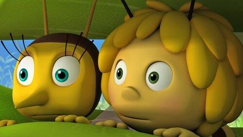 Hoverfly Spy Hoverfly Spy