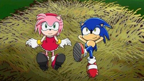How to Catch a Hedgehog How to Catch a Hedgehog