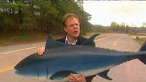Tuna: The Other Red Meat Tuna: The Other Red Meat
