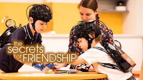 The Secrets of Friendship The Secrets of Friendship