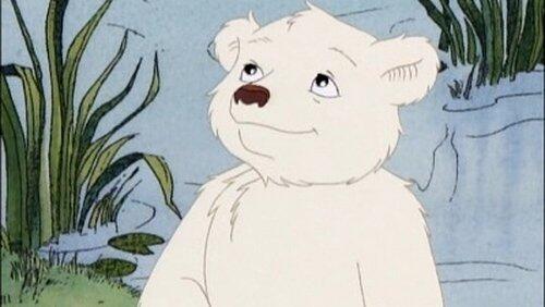 Polar Bear Polar Bear