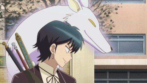 Fox Trap Fox Trap
