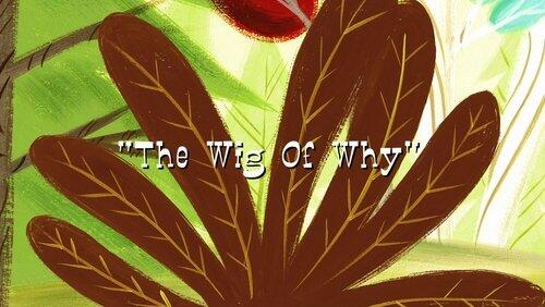 The Wig of Why The Wig of Why