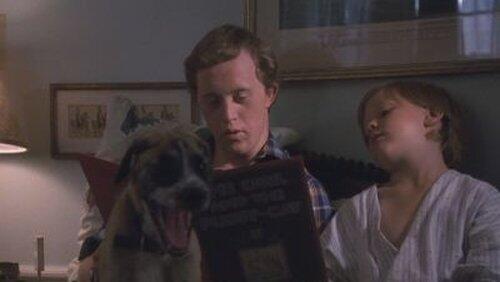 The Baby-Sitter The Baby-Sitter