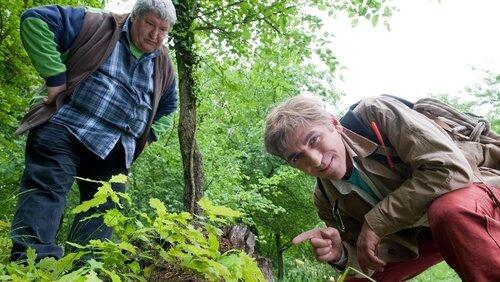 Geocaching - Schatzjagd mit dem GPS Geocaching - Schatzjagd mit dem GPS