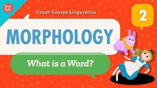Morphology Morphology