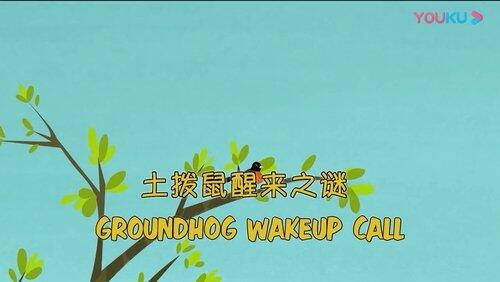 Groundhog Wake Up Call Groundhog Wake Up Call