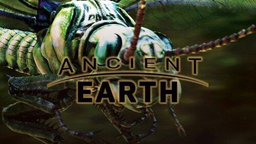 What Killed the Giant Insects What Killed the Giant Insects