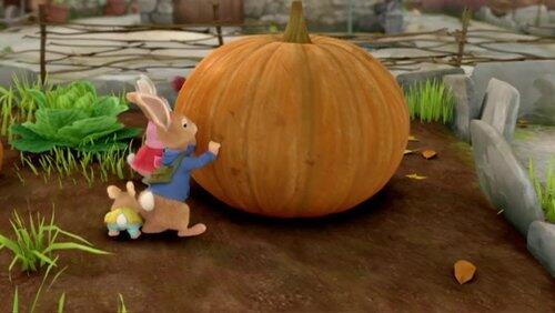 The Tale of the Giant Pumpkin The Tale of the Giant Pumpkin
