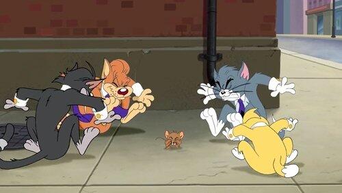 League of Cats