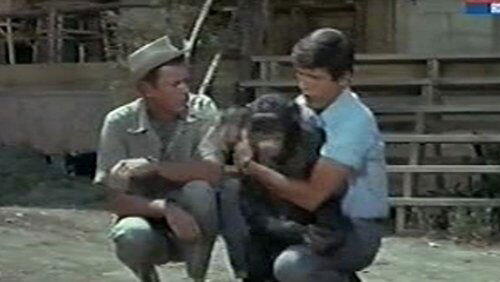 The Elephant Raid, Part 1 The Elephant Raid, Part 1
