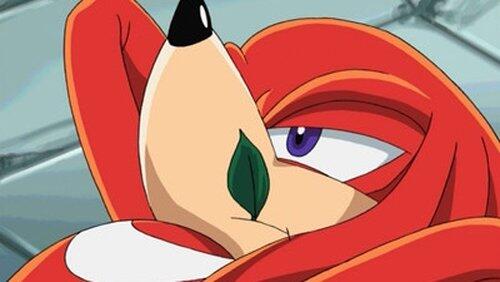 The Adventures of Knuckles and Hawk The Adventures of Knuckles and Hawk