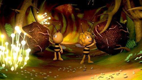 A Friend for the Oak A Friend for the Oak