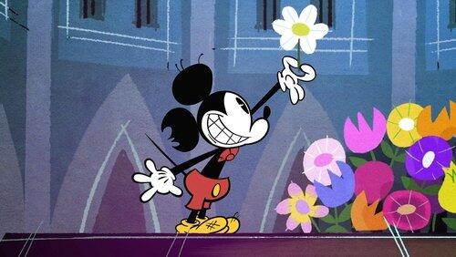 A Flower for Minnie A Flower for Minnie