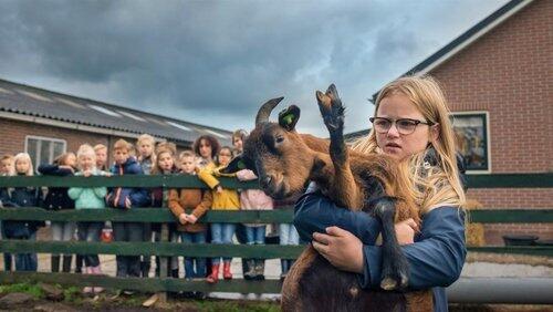 Dierenaura Dierenaura