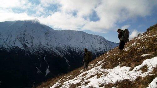 The Rugged Peaks: Alaskan Mountain Goats