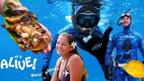 Brad Goes Spearfishing in Hawaii Brad Goes Spearfishing in Hawaii