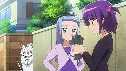 Whatever You Say The Cat You Own is the Cutest of All Whatever You Say The Cat You Own is the Cutest of All