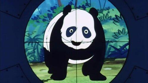 A Baby Panda is Born A Baby Panda is Born