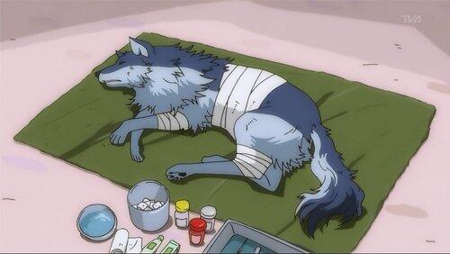 I'm afraid of wolves? I'm afraid of wolves?