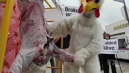 Animal Rights Animal Rights