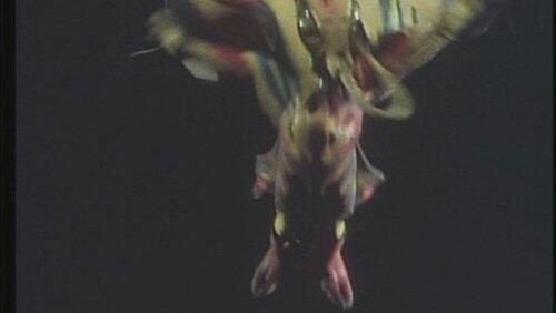 Mimi's Nightmare!? The Howling, Cut-Up Demonbeast Mimi's Nightmare!? The Howling, Cut-Up Demonbeast