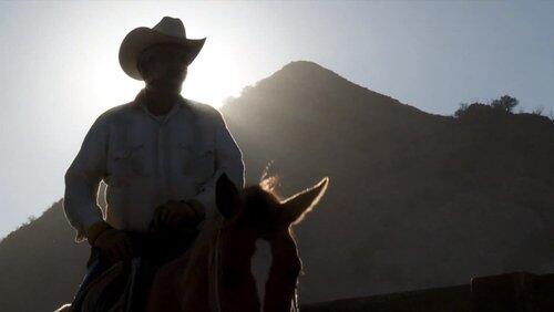 Crossing Borders: Sonoran Desert Bison