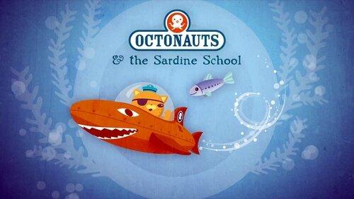 The Sardine School The Sardine School