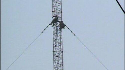 Engineering Disasters (5) Engineering Disasters (5)