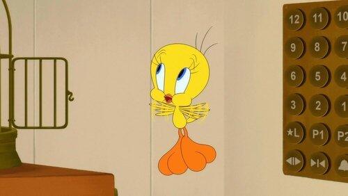 Duck Hunting Gag: Duck Call Duck Hunting Gag: Duck Call