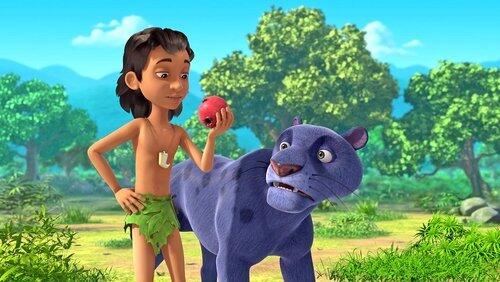 Jungle Investigation Jungle Investigation
