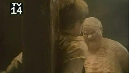 The Feverman