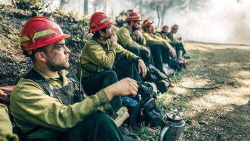 Wildland Wildland