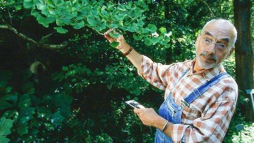 Peter sucht den Entenfußbaum Peter sucht den Entenfußbaum