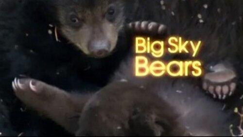 Big Sky Bears Big Sky Bears