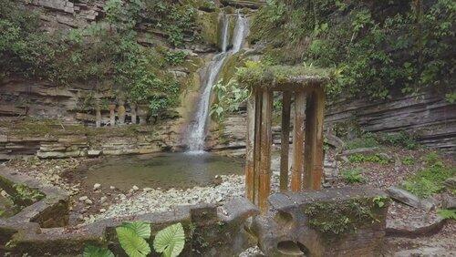 Jungle Fantasy Land Jungle Fantasy Land