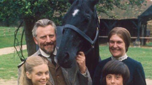 Warhorse Warhorse