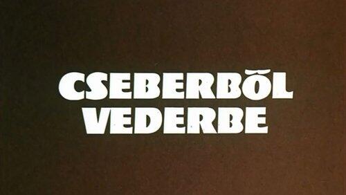 Cseberből vederbe