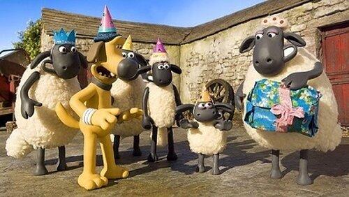 Happy Birthday Timmy! Happy Birthday Timmy!
