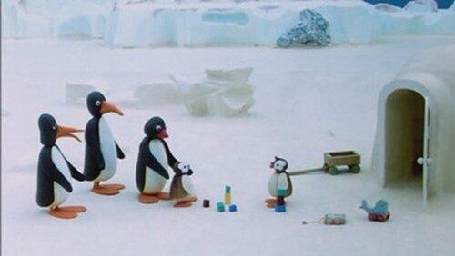 Pingu and the Stranger Pingu and the Stranger