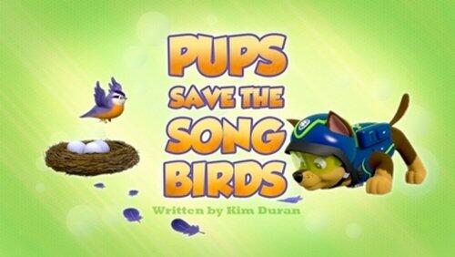Pups Save a Pony Pups Save a Pony