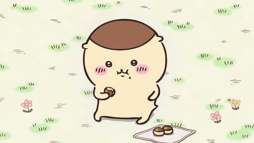 Chestnut Manju / Riding Mambo Chestnut Manju / Riding Mambo
