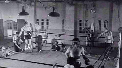 The Opponent The Opponent