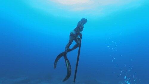 Spearfishing the Big Island Spearfishing the Big Island