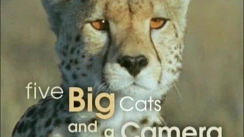 Five Big Cats and a Camera Five Big Cats and a Camera
