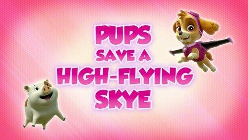 Pups Save a High Flying Skye Pups Save a High Flying Skye