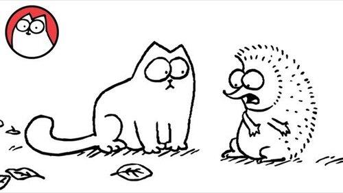 Cat Chat