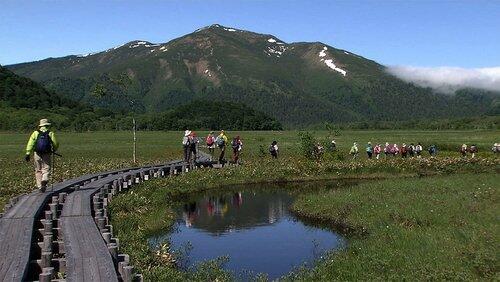 Oze: A Mountain Marshland Oze: A Mountain Marshland